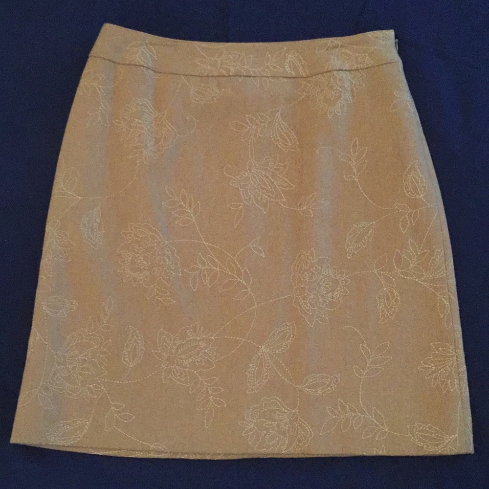 Ann Taylor skirt